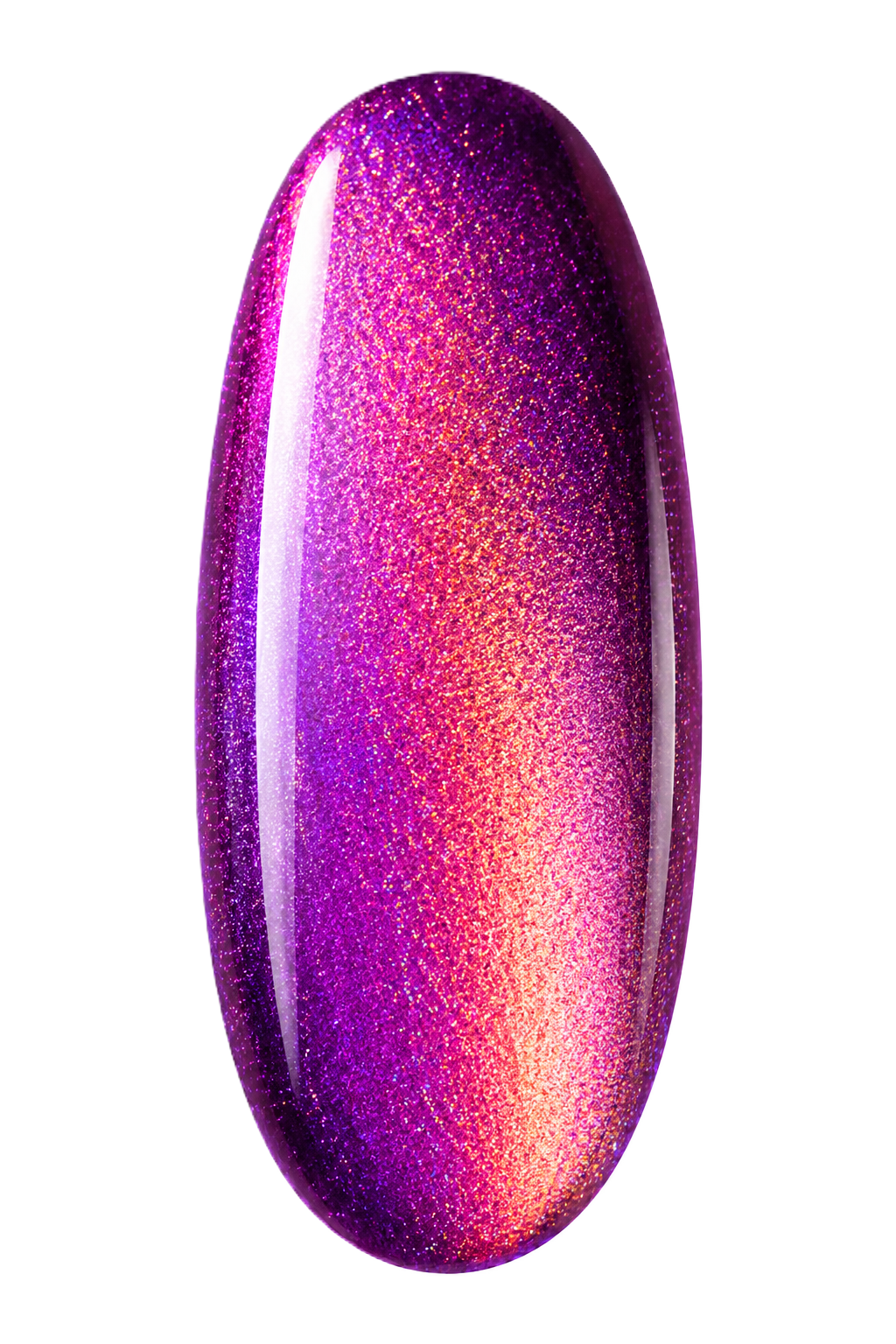 Disco